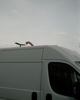  (c) Simon Gerlinger