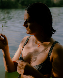 (c) Simon Gerlinger
