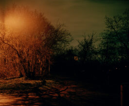  (c) Simon Gerlinger